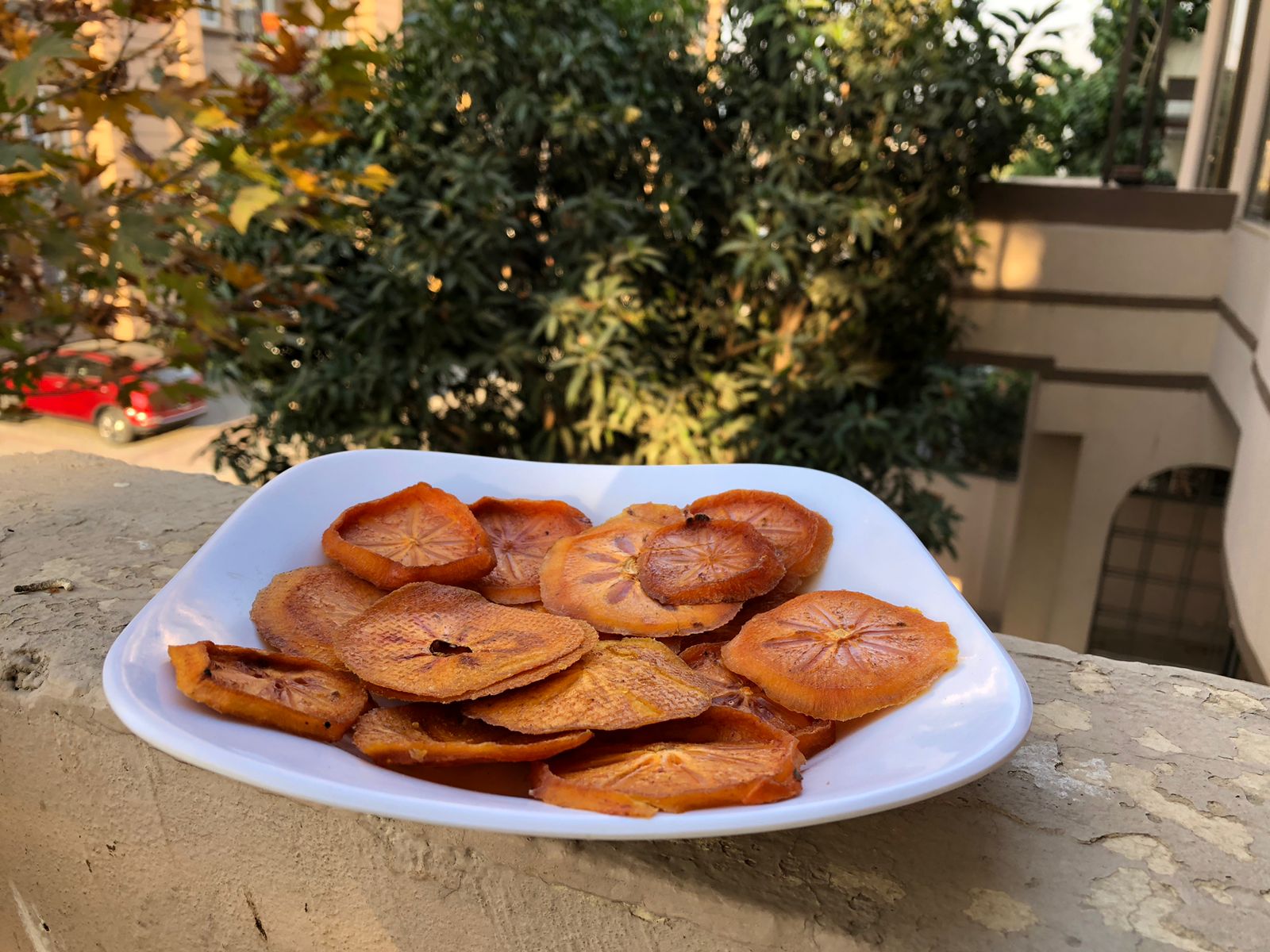 f1c1aa48-88f1-4eb1-b85a-d3728a645979